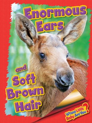 cover image of Enormous Ears and Soft Brown Hair (Moose)